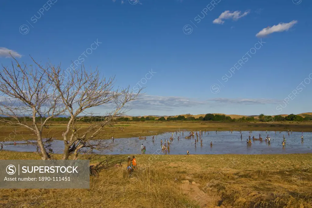 People fishing in a shallow lake near Diego Suarez Antsiranana, Madagascar, Africa
