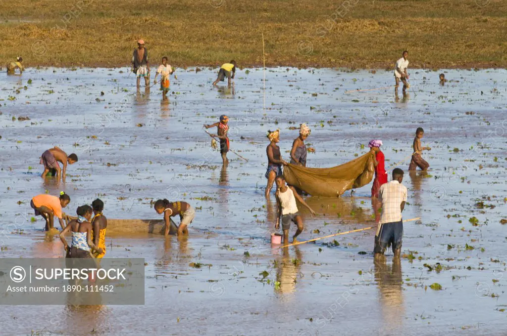 People fishing in a shallow lake near Diego Suarez Antsiranana, Madagascar, Africa