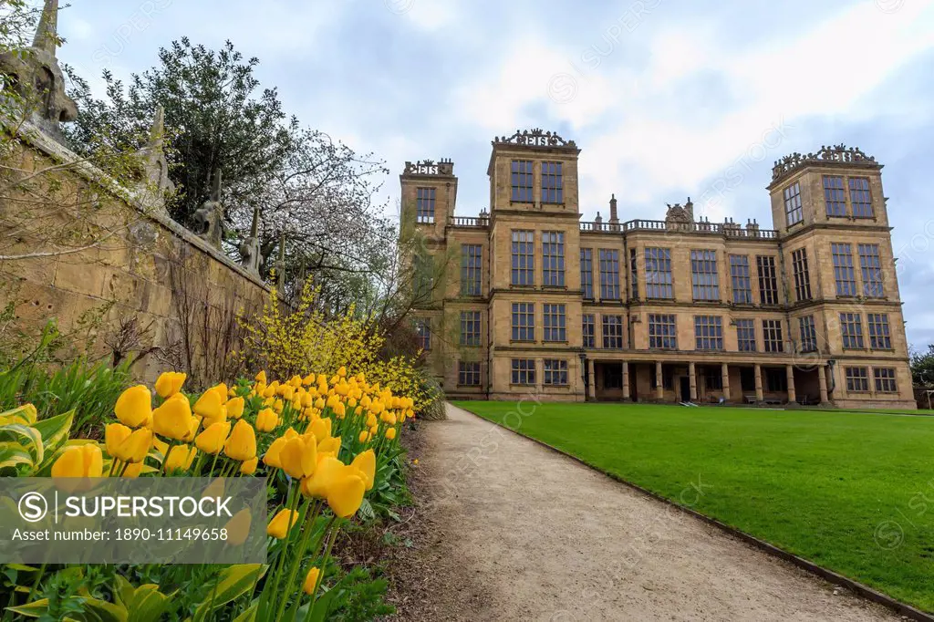 Tulip border, pathway and lawn in spring at Hardwick Hall, near Chesterfield, Derbyshire, England, United Kingdom, Europe