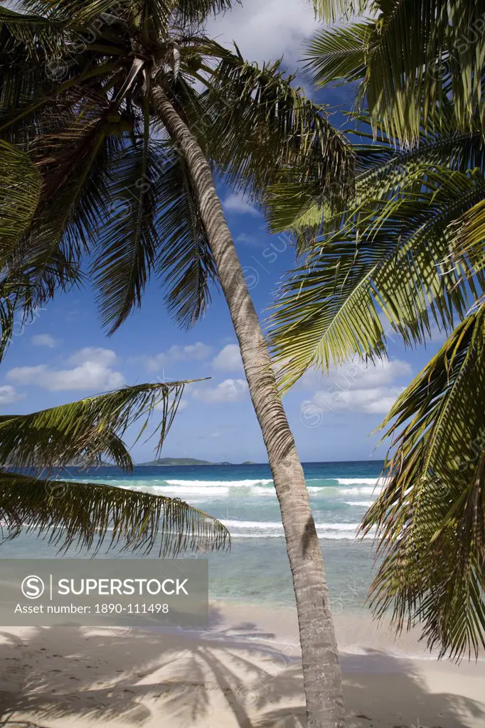 Beach, palm trees and surf in Long Bay, Tortola, British Virgin Islands, West Indies, Caribbean, Central America