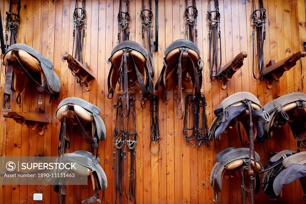 Saddles and harnesses at the Royal Andalusian School of Equestrian Art, Jerez, Andalucia, Spain, Europe