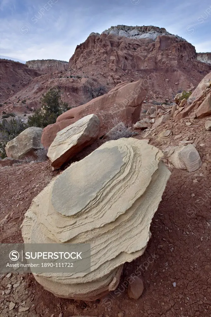 Tan sandstone boulder among red rocks, Carson National Forest, New Mexico, United States of America, North America