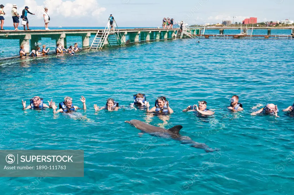 Dolphin Discovery at Chankanaab Park, Isla de Cozumel Cozumel Island, Cozumel, off the Yucatan, Quintana Roo, Mexico, North America