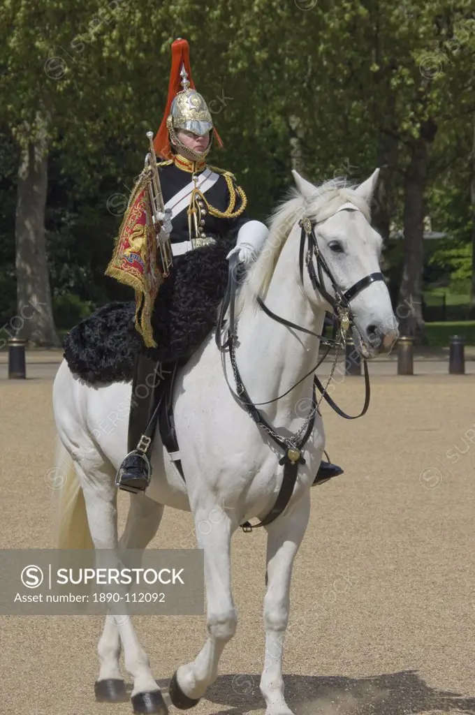 The Trumpeter of the Horse Guards, Horse Guards Parade, London, England, United Kingdom, Europe