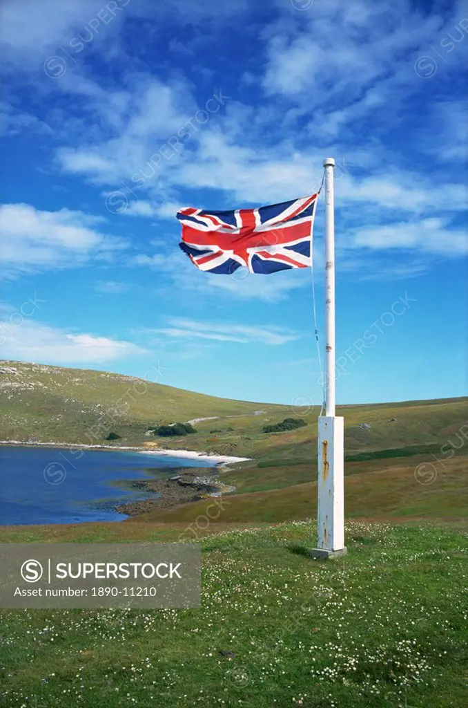 West Falkland, Westpoint Island, Falkland Islands, South America