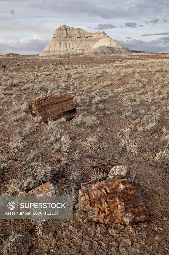 Petrified wood and an eroded hill, Petrified Forest National Park, Arizona, United States of America, North America
