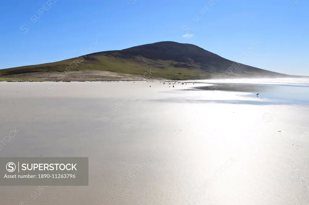 Glistening beach, tracks, sea spray and Mount Harston, the Neck, Saunders Island, Falkland Islands, South America