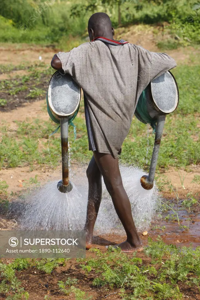Farmer watering crops, near Lome, Togo, West Africa, Africa