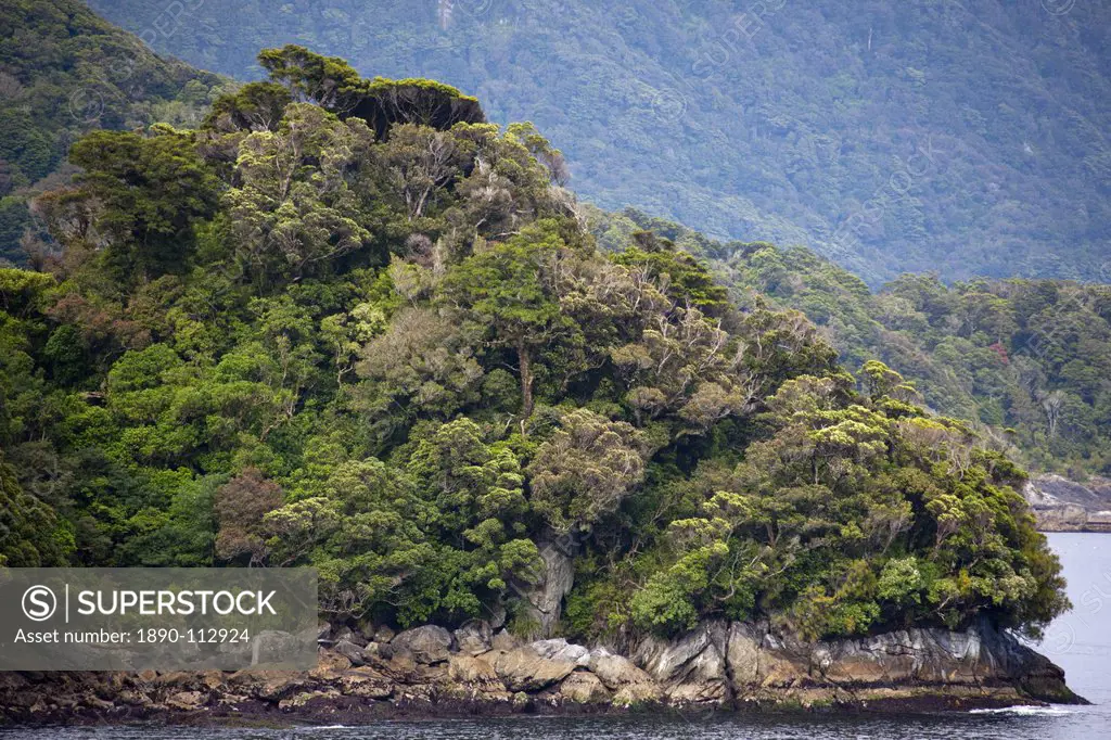 Fjord and forest, Thomson Sound, South Island, New Zealand, Pacific