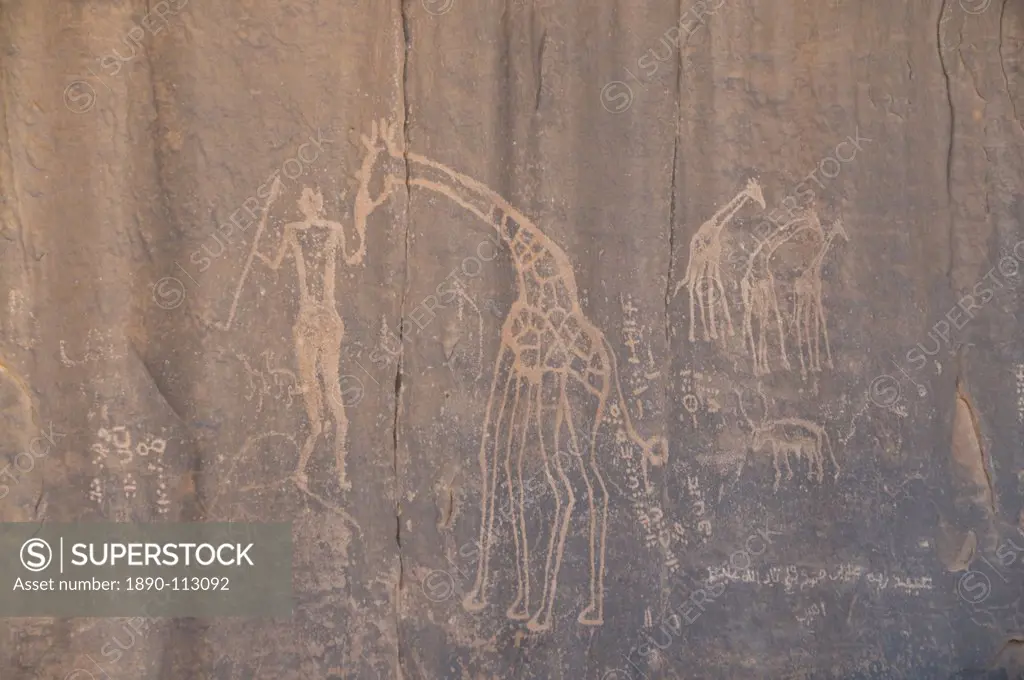Rock inscription, Tassili n´Ajjer, UNESCO World Heritage Site, Algeria, North Africa, Africa