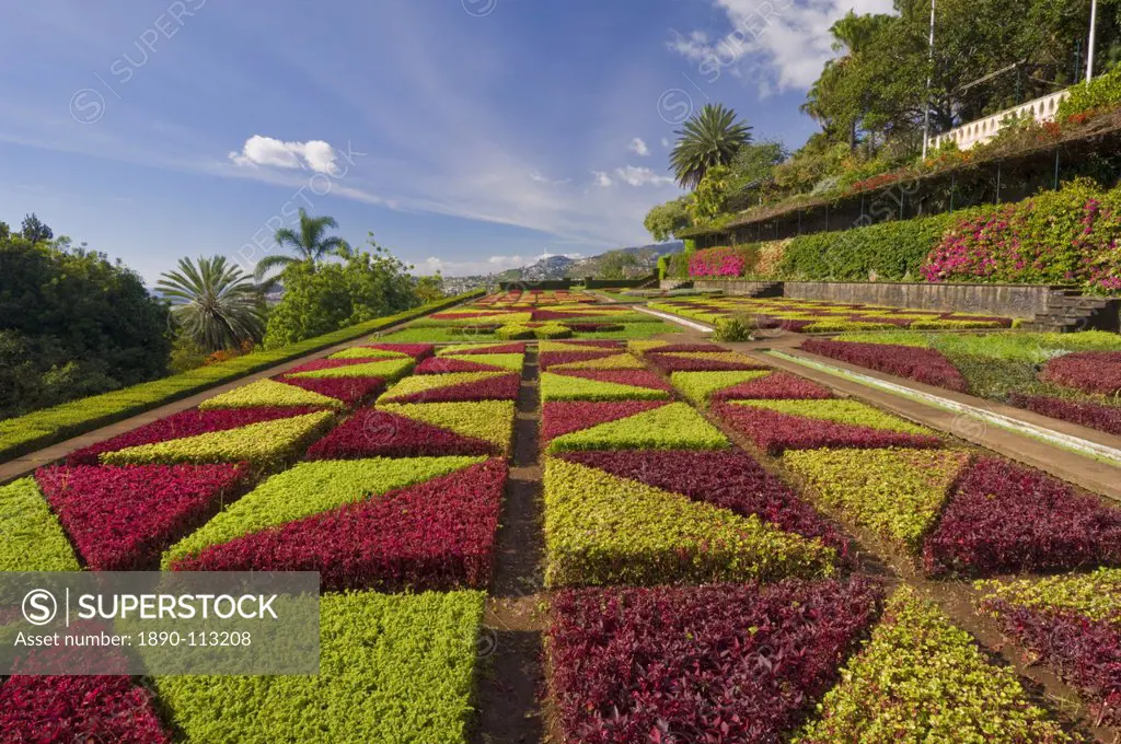 Formal gardens in the Botanical gardens Jardim Botanico, above Funchal, Madeira, Portugal, Europe