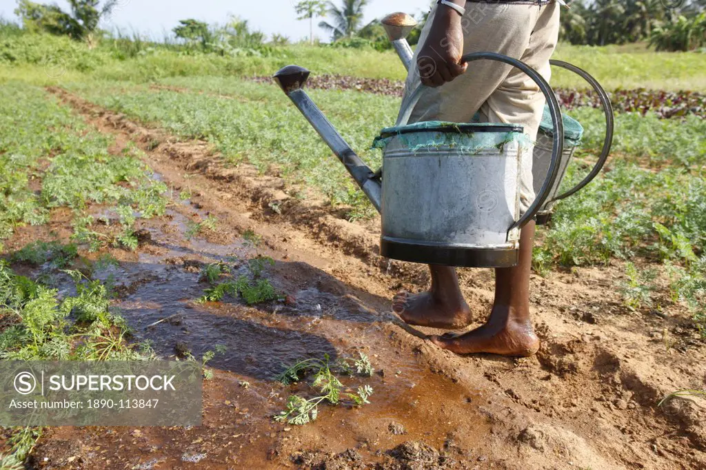 Farmer with watering can, near Lome, Togo, West Africa, Africa