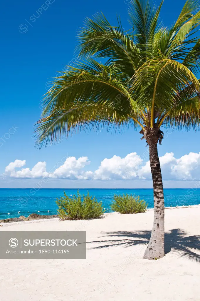 Beach at Chankanaab Park, Isla de Cozumel Cozumel Island, Cozumel, off the Yucatan, Quintana Roo, Mexico, North America