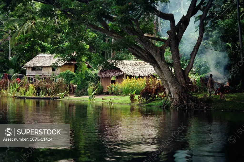 Settlement of huts beside the Sepik River, Papua New Guinea, Pacific Islands, Pacific