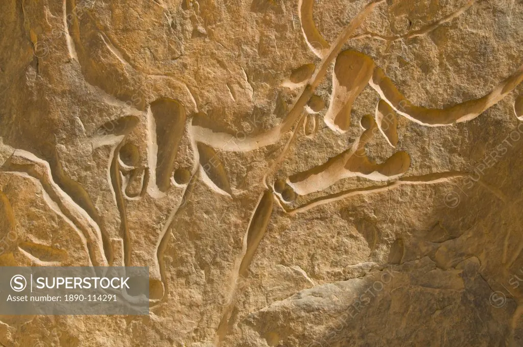 Famous rock inscription of a crying cow, La Vache Qui Pleure, near Djanet, Algeria, North Africa, Africa