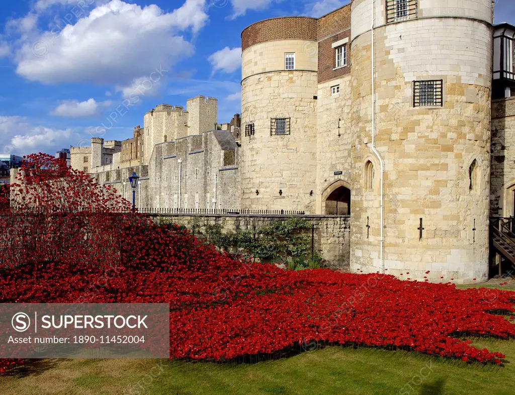 Blood Swept Lands and Seas of Red installation at The Tower of London marking 100 years since the First World War, Tower of London, UNESCO World Herit...