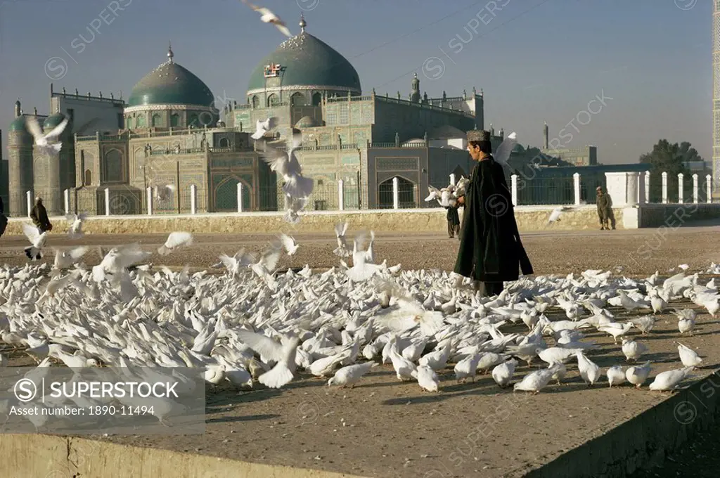 Pigeons at the mosque and shrine of Ali, Mazar_e Sharif, Afghanistan, Asia