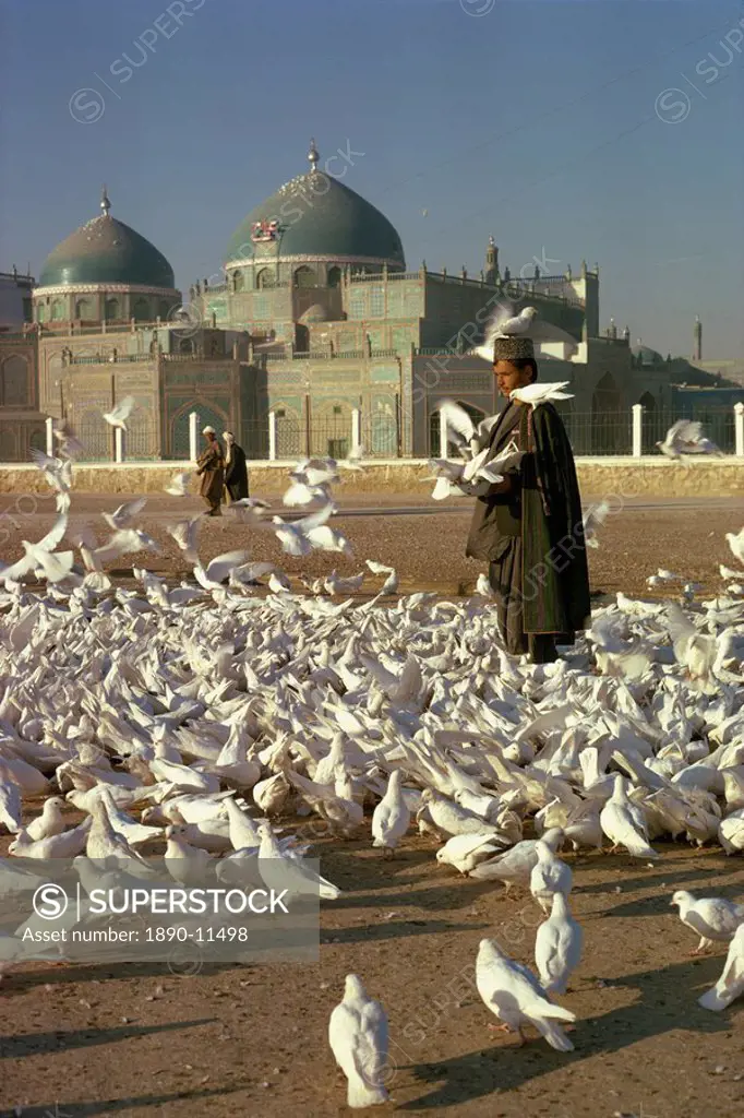 Man feeding white doves in front of the shrine of Ali at Mazar_i_Sharif in Afghanistan, Asia