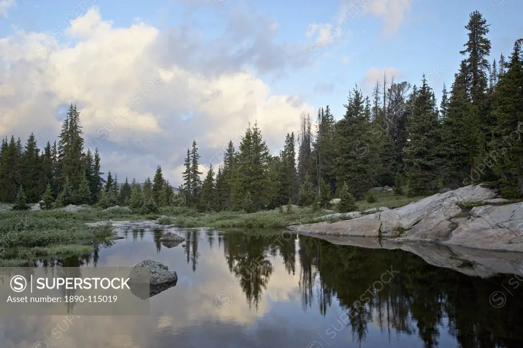 Little Bear Creek at sunrise, Shoshone National Forest, Montana, United States of America, North America