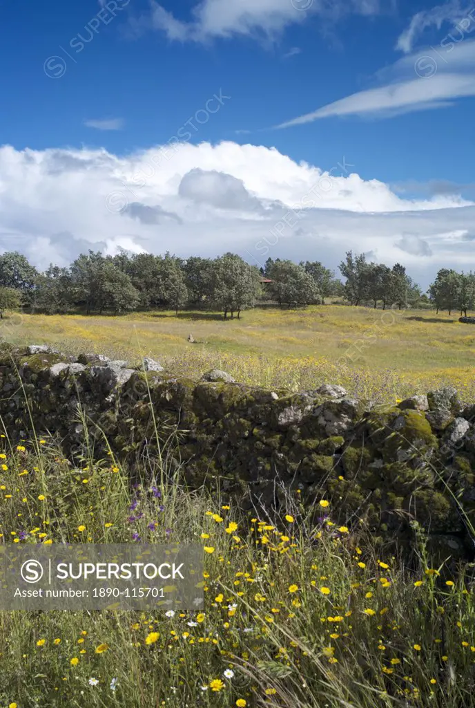Landscape near Villanueva de la Vera, La Vera, Extremadura, Spain, Europe