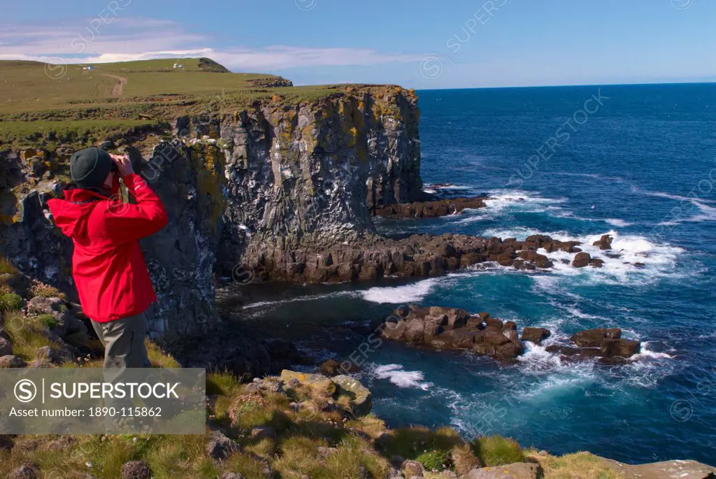 Birdwatching at Langanes peninsula, bird cliffs and gannetry, North Iceland Nordurland, Iceland, Polar Regions