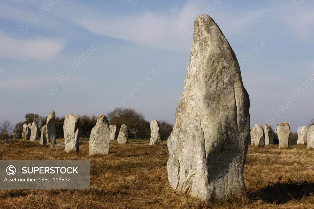 Menec menhirs in Carnac, Morbihan, Brittany, France, Europe