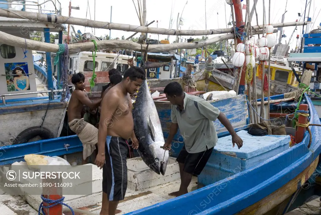 Fishing harbour, built with US Aid after the 2004 Asian tsunami, Purunawella, east of Galle, south coast of Sri Lanka, Asia