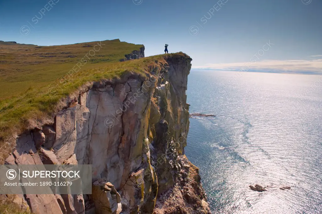 High cliffs rising to 400m at Latrabjarg, the largest bird colony in Europe, West Fjords region Vestfirdir, Iceland, Polar Regions
