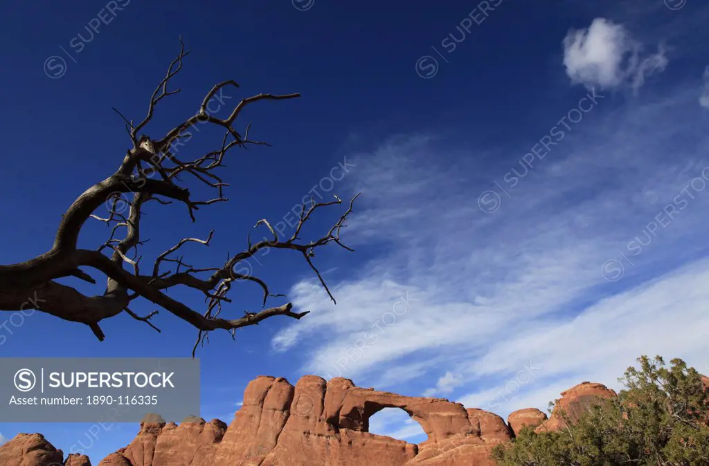 A natural sandstone rock arch in Arches National Park, near Moab, Utah, United States of America, North America