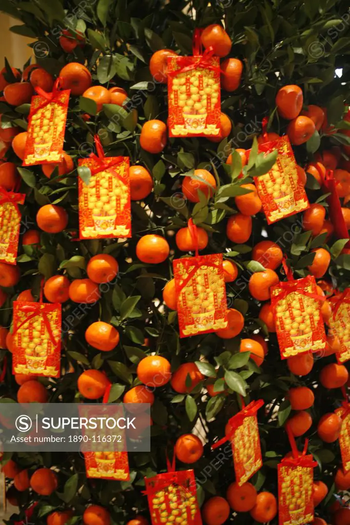Tangerine good luck symbols, Chinese New Year decoration, Macao, China, Asia