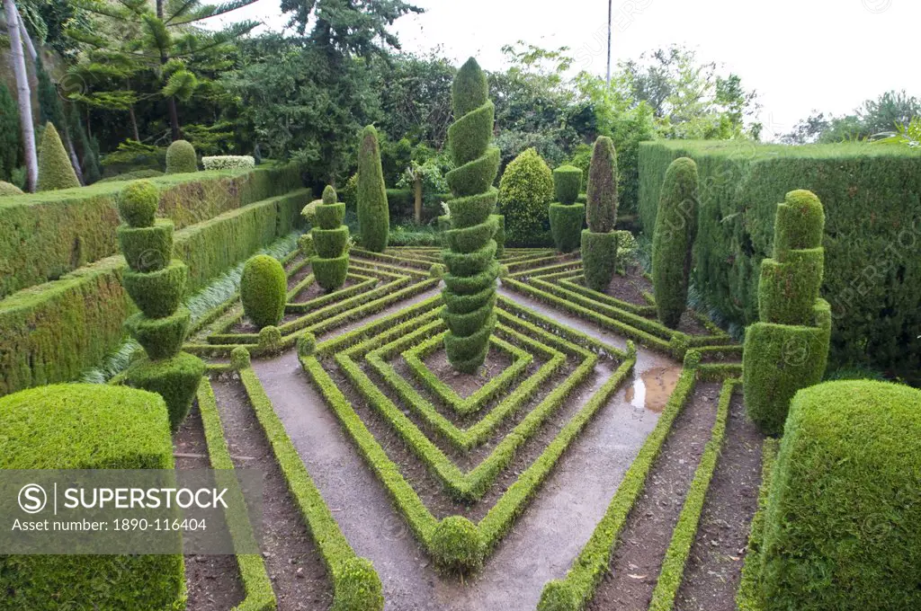Topiary in formal garden, Botanical Garden, Funchal, Madeira, Portugal, Europe