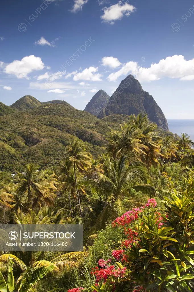 The tropical lushness of the island with the Pitons in the rear in Soufriere, St. Lucia, Windward Islands, West Indies, Caribbean, Central America