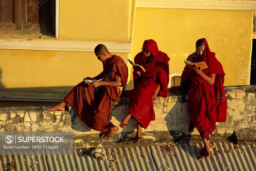 Buddhist monks swotting for exams, Shwesandaw, Pyay Prome, Myanmar Burma, Asia