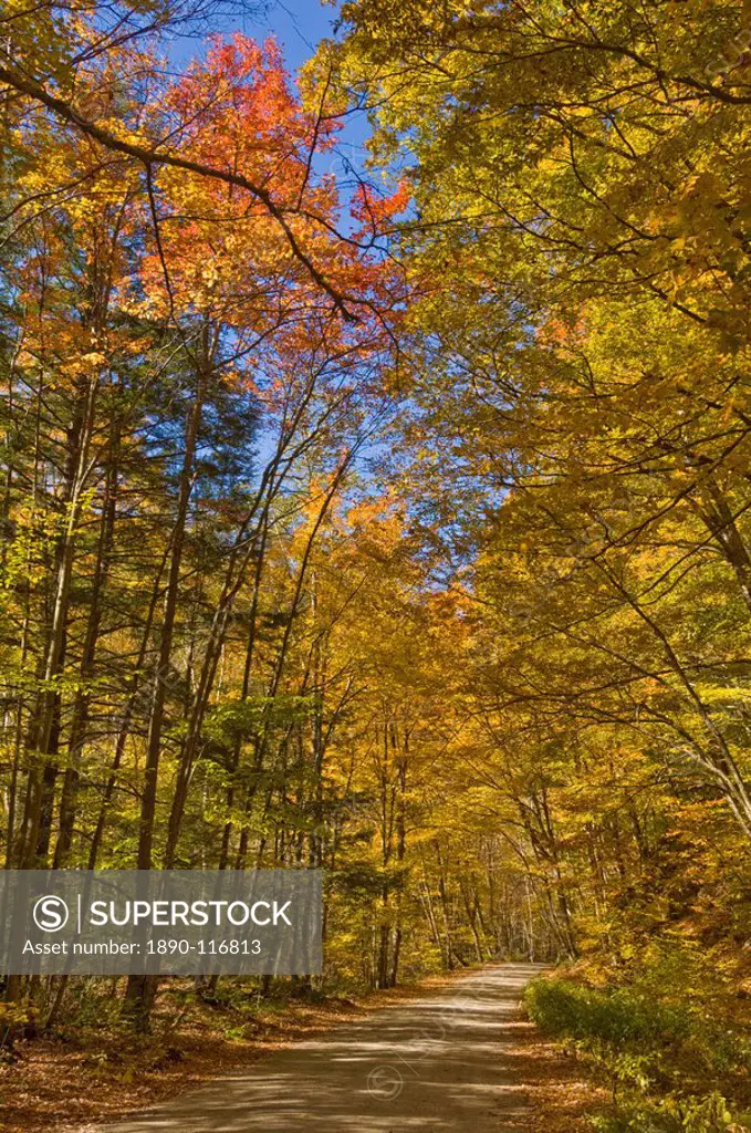 Autumn fall colours, Vermont back country road near West Arlington, Virginia, United States of America, North America