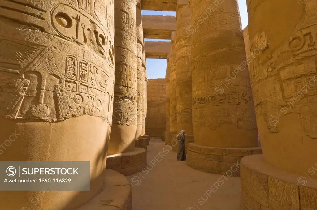 Hieroglyphics on great columns in the Temple of Karnak near Luxor, Thebes, UNESCO World Heritage Site, Egypt, North Africa, Africa