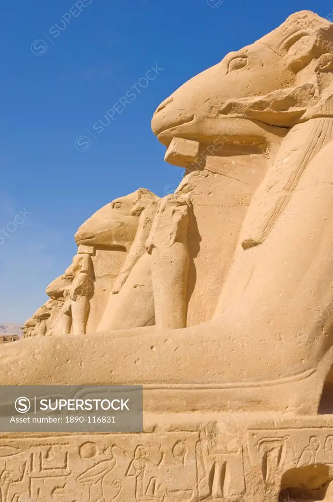 Row of sphinx with ram heads at the great Temple at Karnak, near Luxor, Thebes, UNESCO World Heritage Site, Egypt, North Africa, Africa