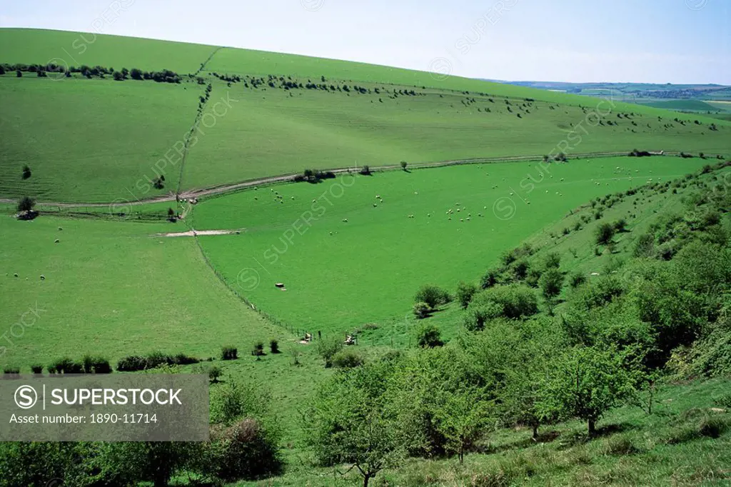 The South Downs between Lewes and Glynde, East Sussex, England, United Kingdom, Europe