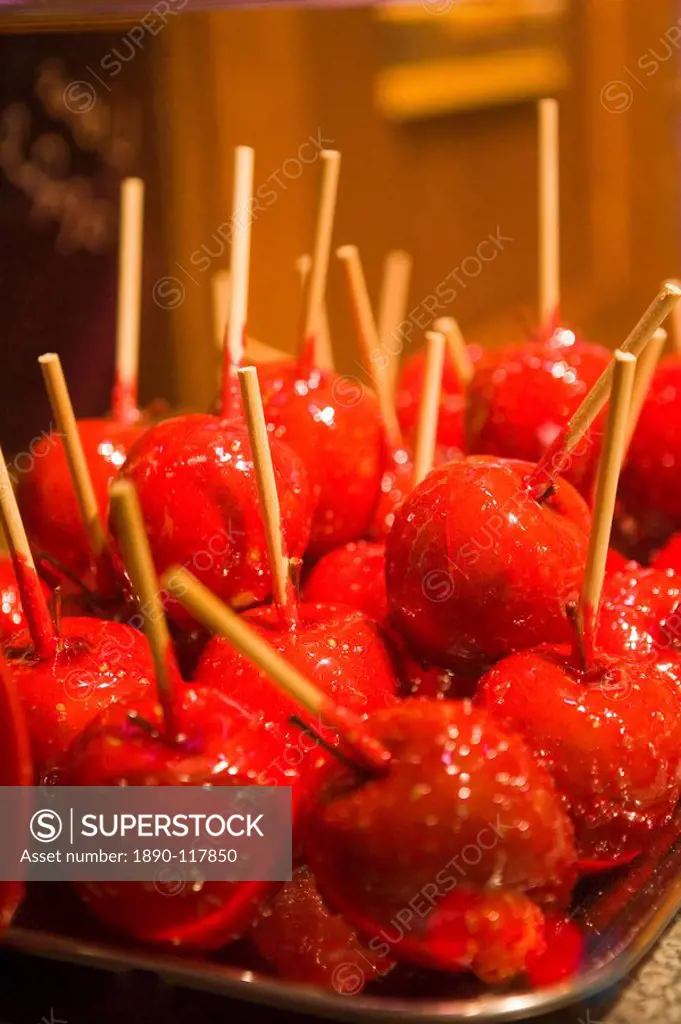 Bewitched apple toffee apples at Christmas, Alexander Platz, Berlin, Germany, Europe