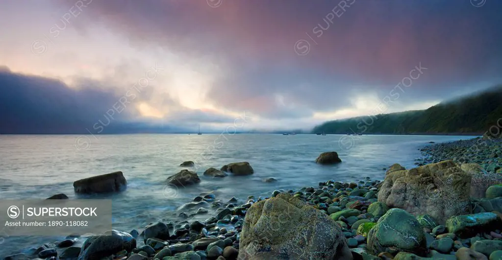 Clearing sea fog tinged pink by the colours of dawn, Clovelly, Devon, England, United Kingdom, Europe