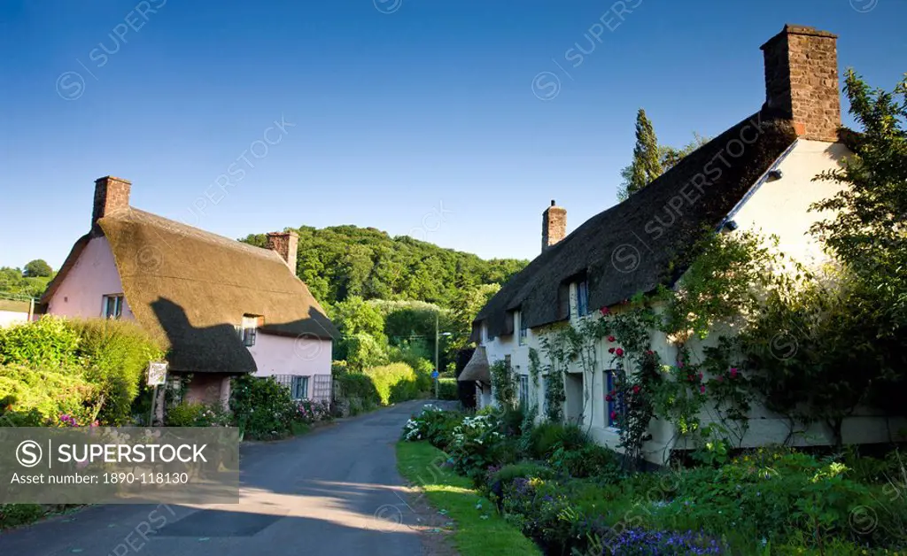Thatched cottages in the medieval village of Dunster, Exmoor National Park, Somerset, England, United Kingdom, Europe