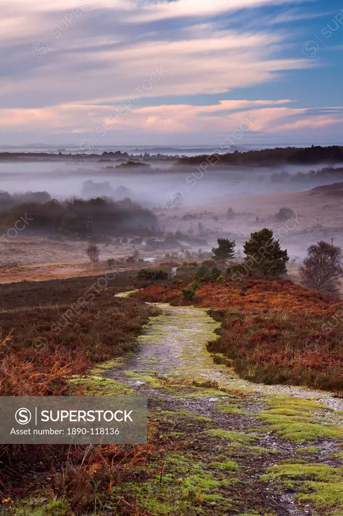 Pathway leading down into a misty New Forest valley, New Forest, Hampshire, England, United Kingdom, Europe