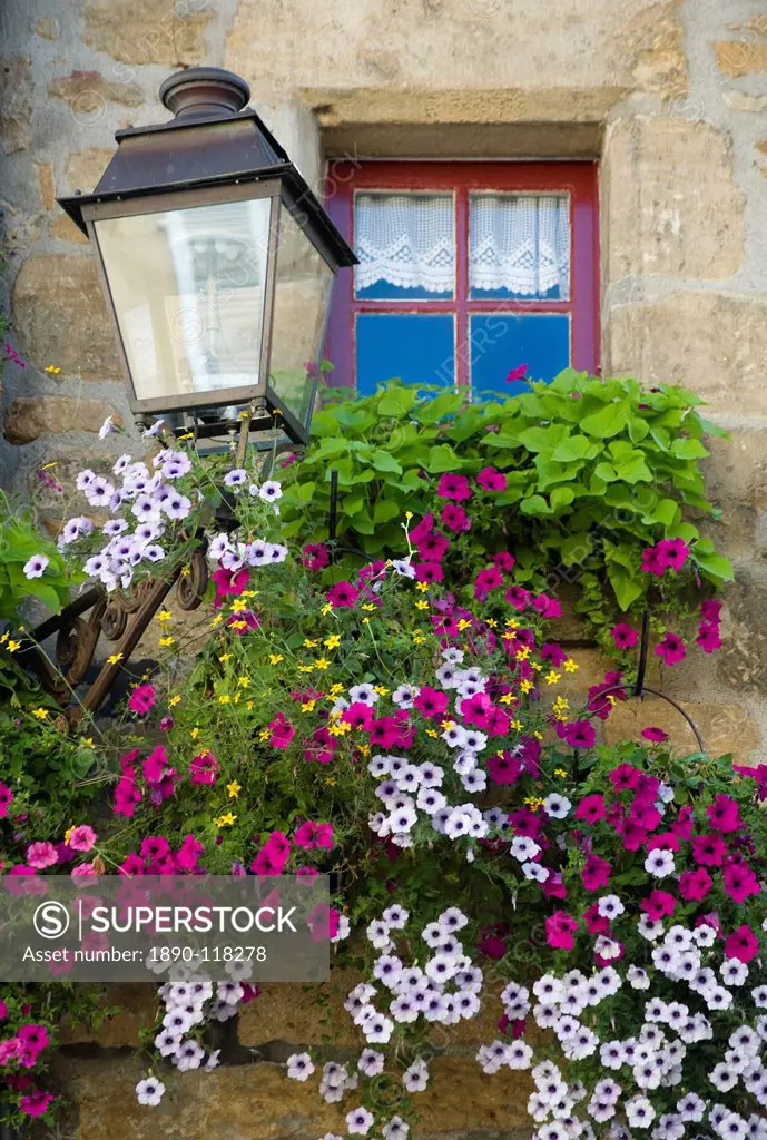 Purple petunias cascading from a window box in front of an old window in Sarlat, Dordogne, France, Europe