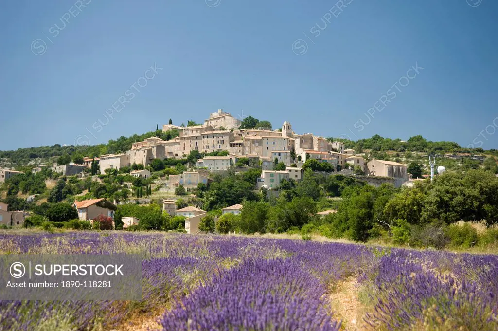 Lavender field near Simiane la Rotonde, Provence, France, Europe