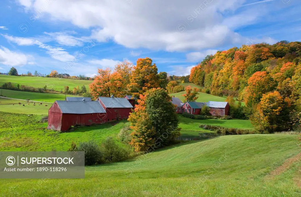 Autumn foliage surrounding red barns at Jenne Farm in South Woodstock, Vermont, New England, United States of America, North America