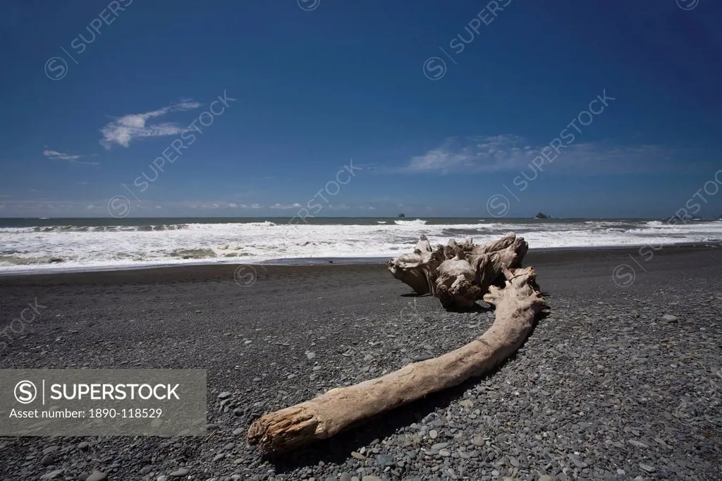 Rialto Beach, Olympic Peninsula, Washington State, United States of America, North America