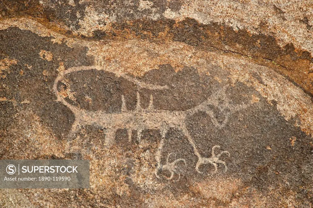 Petroglyph, Alabama Hills, Inyo National Forest, California, United States of America, North America