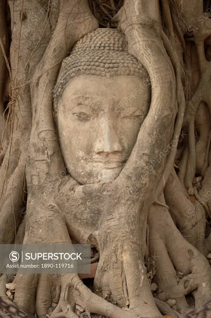 Wat Maha That, Ayutthaya, UNESCO World Heritage Site, Ayutthaya Province, Thailand, Southeast Asia, Asia