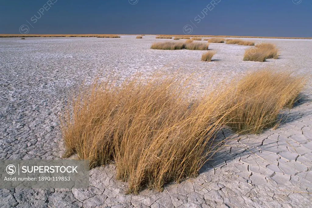 Salt pans in Magkadikgadi Pan National Park, the Makgadikgadi Pan is the largest salt flat complex in the world covering 16000 square kilometers, cent...
