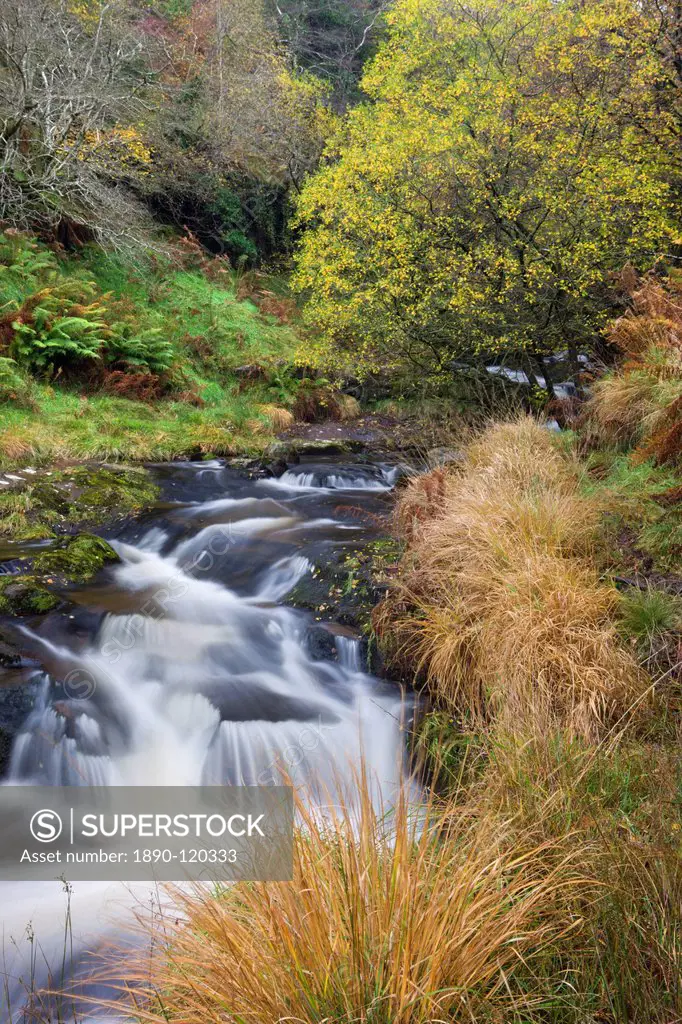 The River Caerfanell at Blaen_y_glyn, Brecon Beacons National Park, Powys, Wales, United Kingdom, Europe