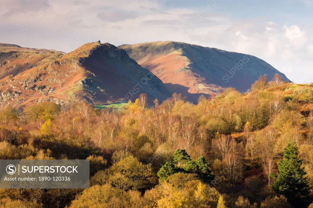 Helm Crag and Steel Fell mountains behind autumnal woodland, Grasmere, Lake District National Park, Cumbria, England, United Kingdom, Europe